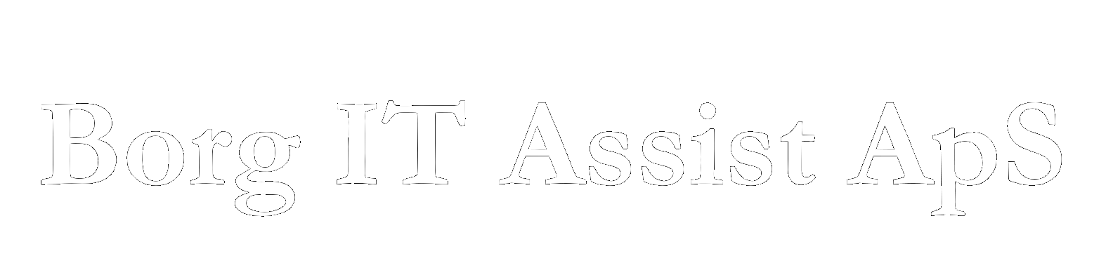 Borg IT Assist ApS logo